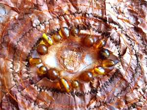 dyed sample