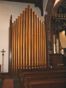Organ image 3