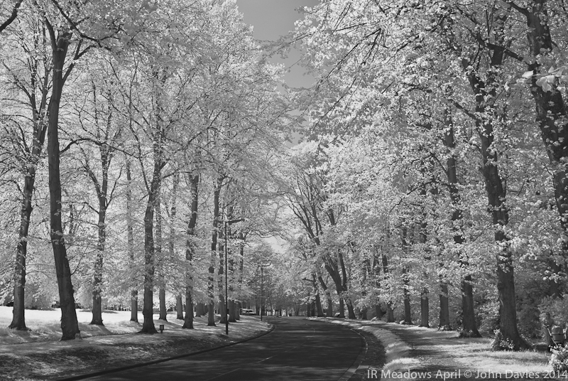 Artist of the Week John Davies