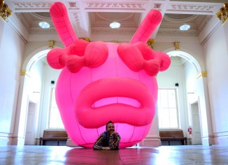 pug virus walker gallery archive artinliverpool pug virus walker gallery archive artinliverpool