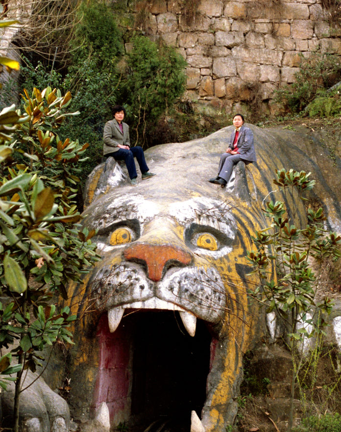Beijing Silvermine, cropped for Art in Liverpool