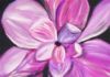 pink and black flower