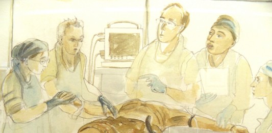 War, Art and Surgery – Julia Midgley