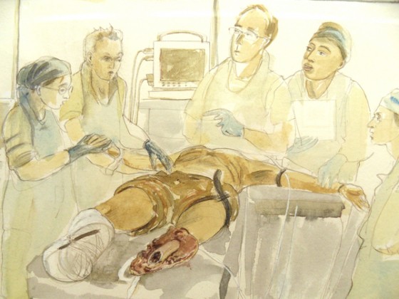 War, Art and Surgery &ndash; Julia Midgley