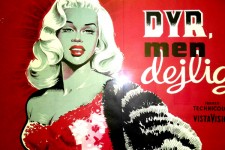 diana dors