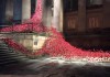 weeping window image