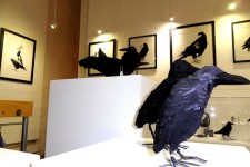 All that glitters at Bluecoat Display Centre