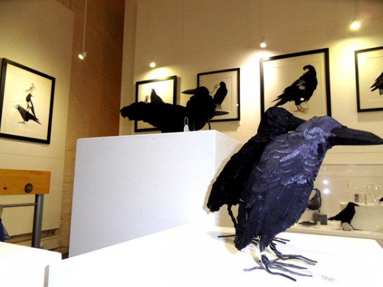All that glitters at Bluecoat Display Centre