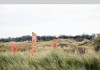 sefton-coastline-traces