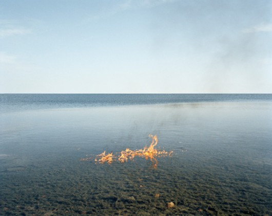 Edgar Martins, Borba bayou from the series Siloquies and Soliloquies on death, life and other interludes, 2016