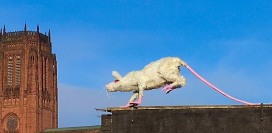 Super Rat by Faith Bebbington, Liverpool