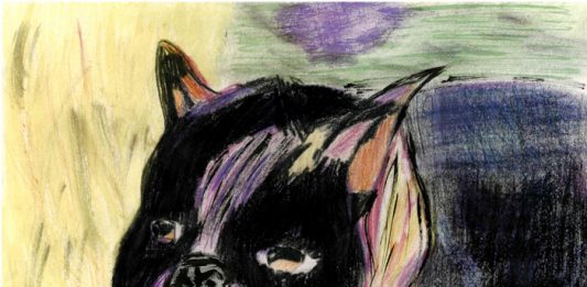 Boston Terrier by Aidan Owen. dot-art Schools at St George's Hall 2016