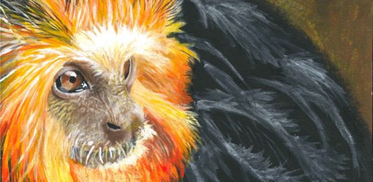 Golden Tamarin by Nyah Boorman. dot-art Schools at St George's Hall 2016