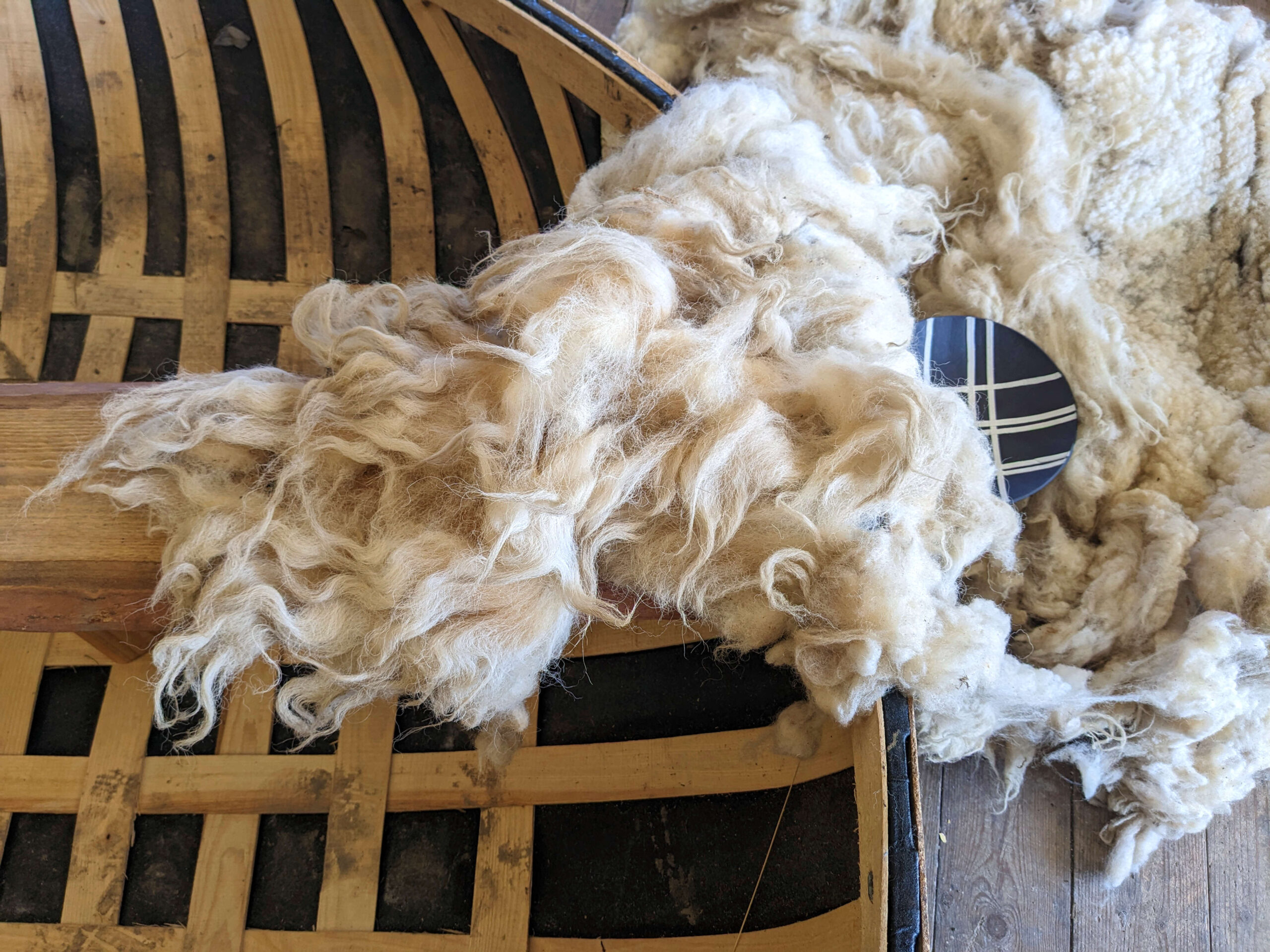 Independents Biennial: Fleece: Flow - Sian Hughes
