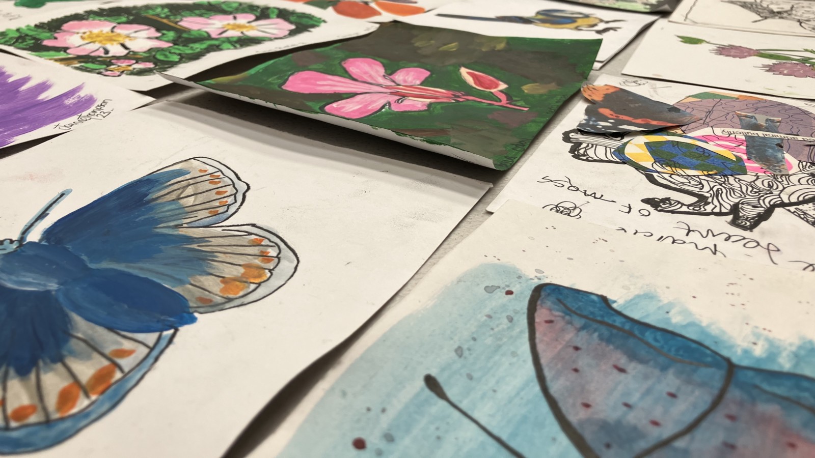 Colliers Moss Common: Activity Book Launch with Juneau Projects