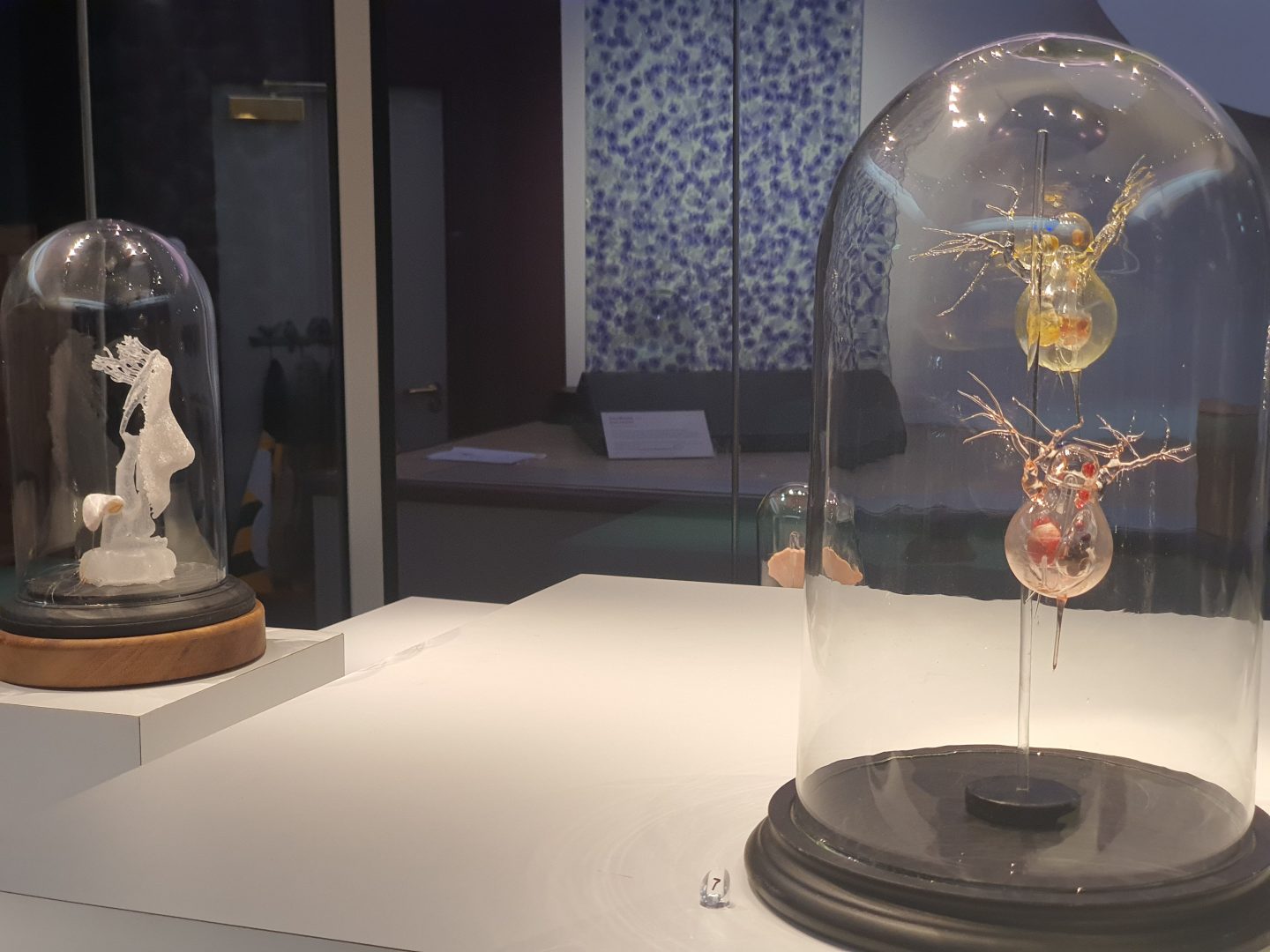 Warrington Museum & Art Gallery: Pamela Schilderman: Artist’s Talk