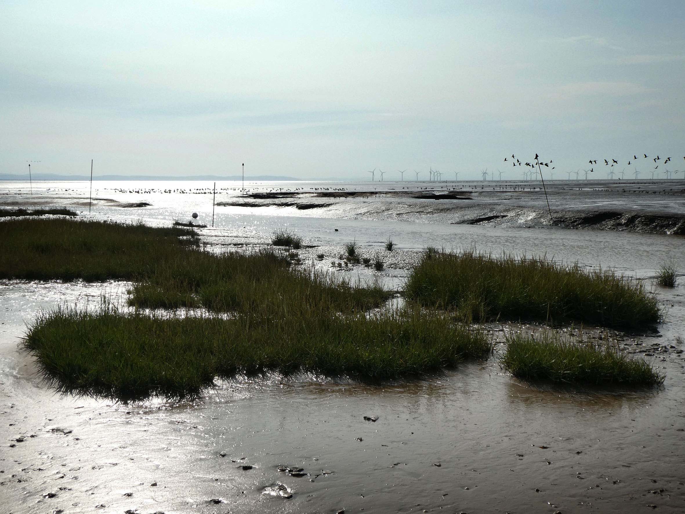 Open Eye Gallery: Waterlands: Creative Writing Workshop