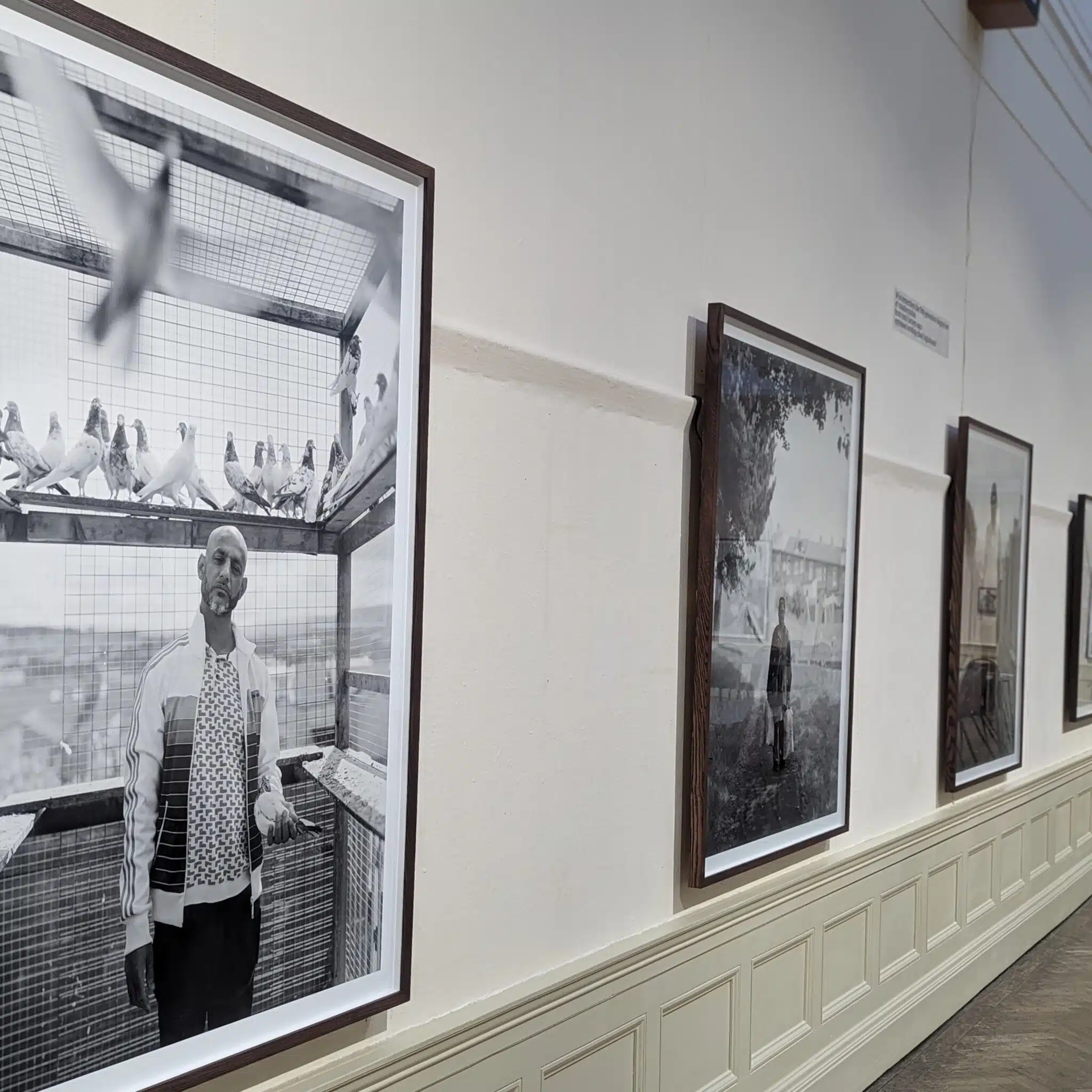 Williamson Art Gallery: Curator Tour of Is Anybody Listening?