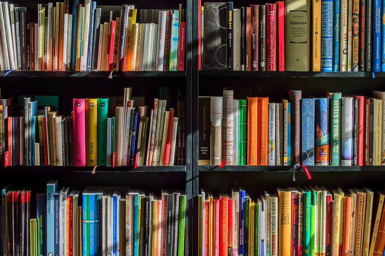 Williamson Art Gallery: Books and Banter