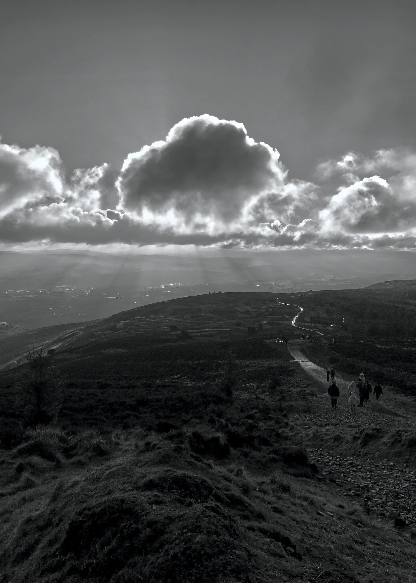 Open Eye Gallery: In View