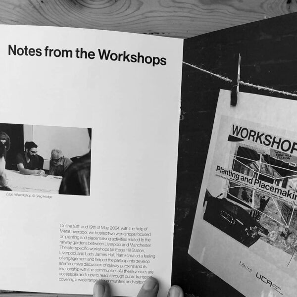 Metal Liverpool: Planting and Placemaking: Booklet launch with artist and researcher Zhuozhang Li