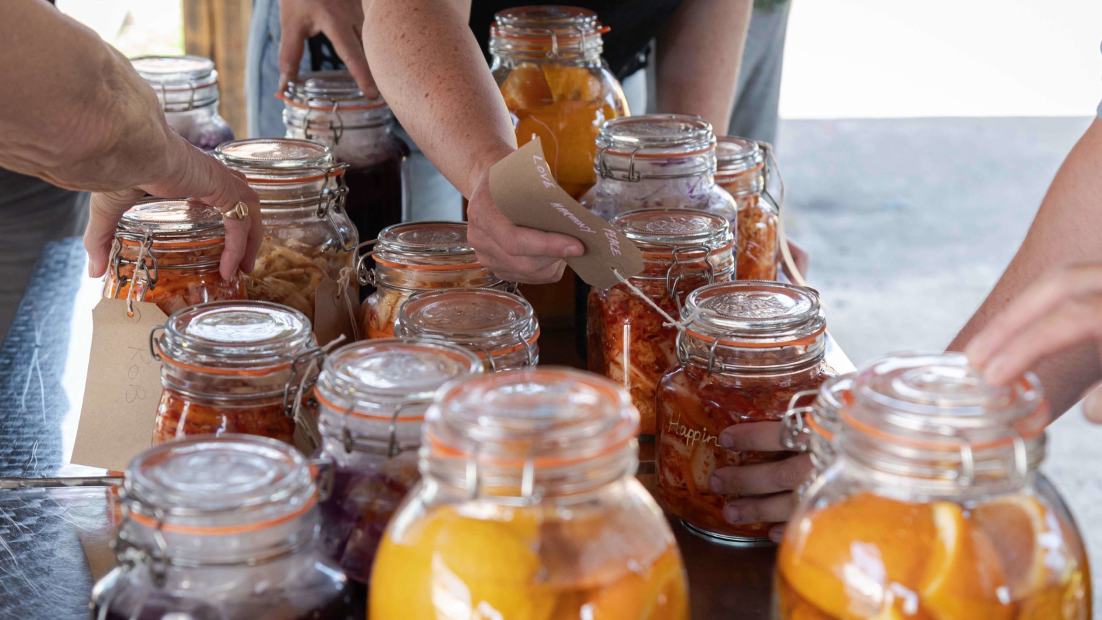 Incredible Edible: The Instinct Lab: Gut Grief