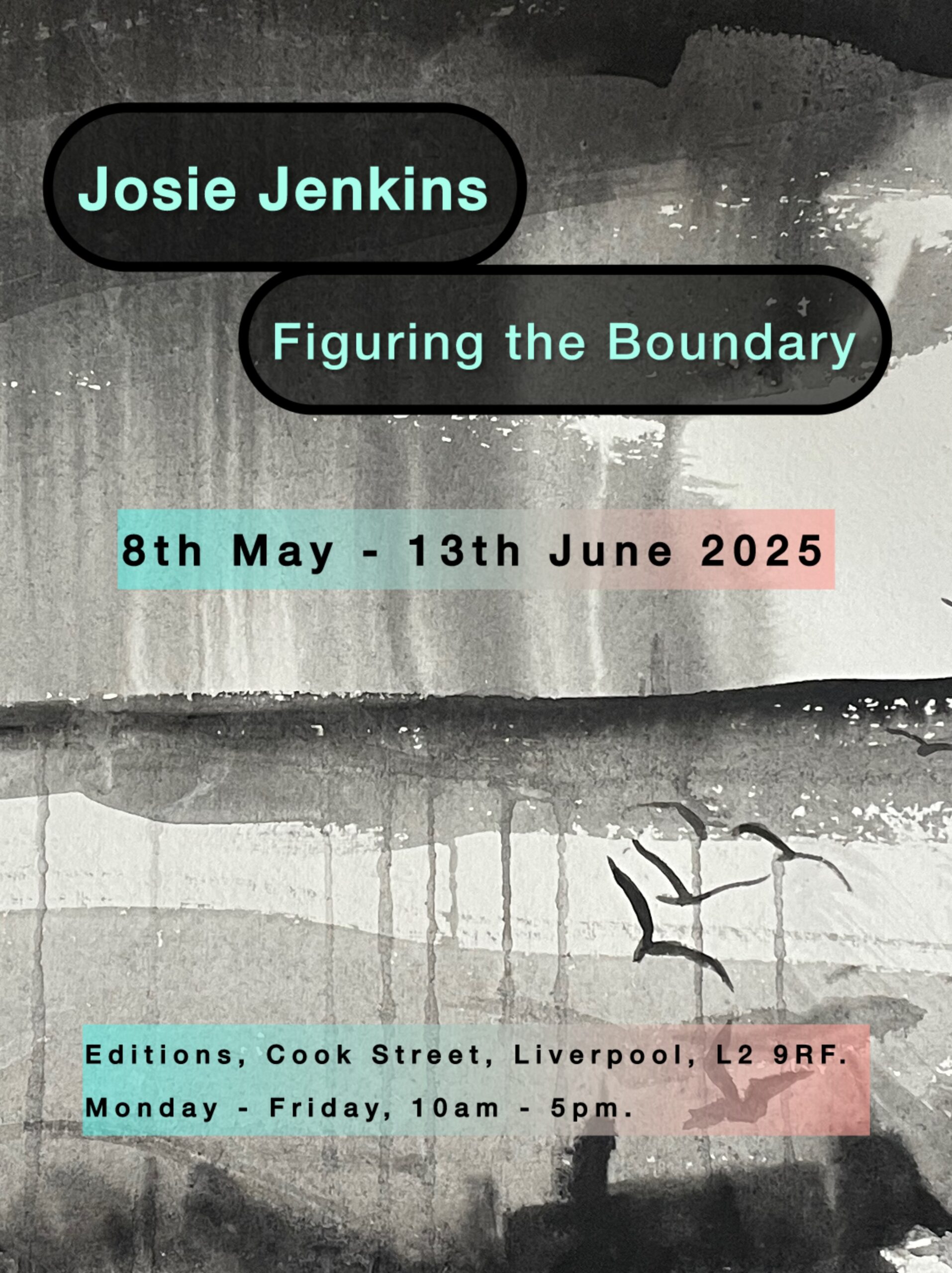 Editions: Josie Jenkins: Figuring the Boundary