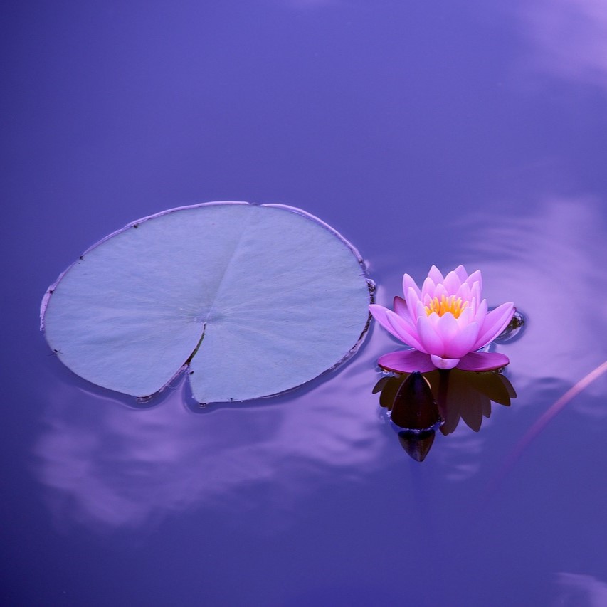 Yoga & Sound: Wellness Experience