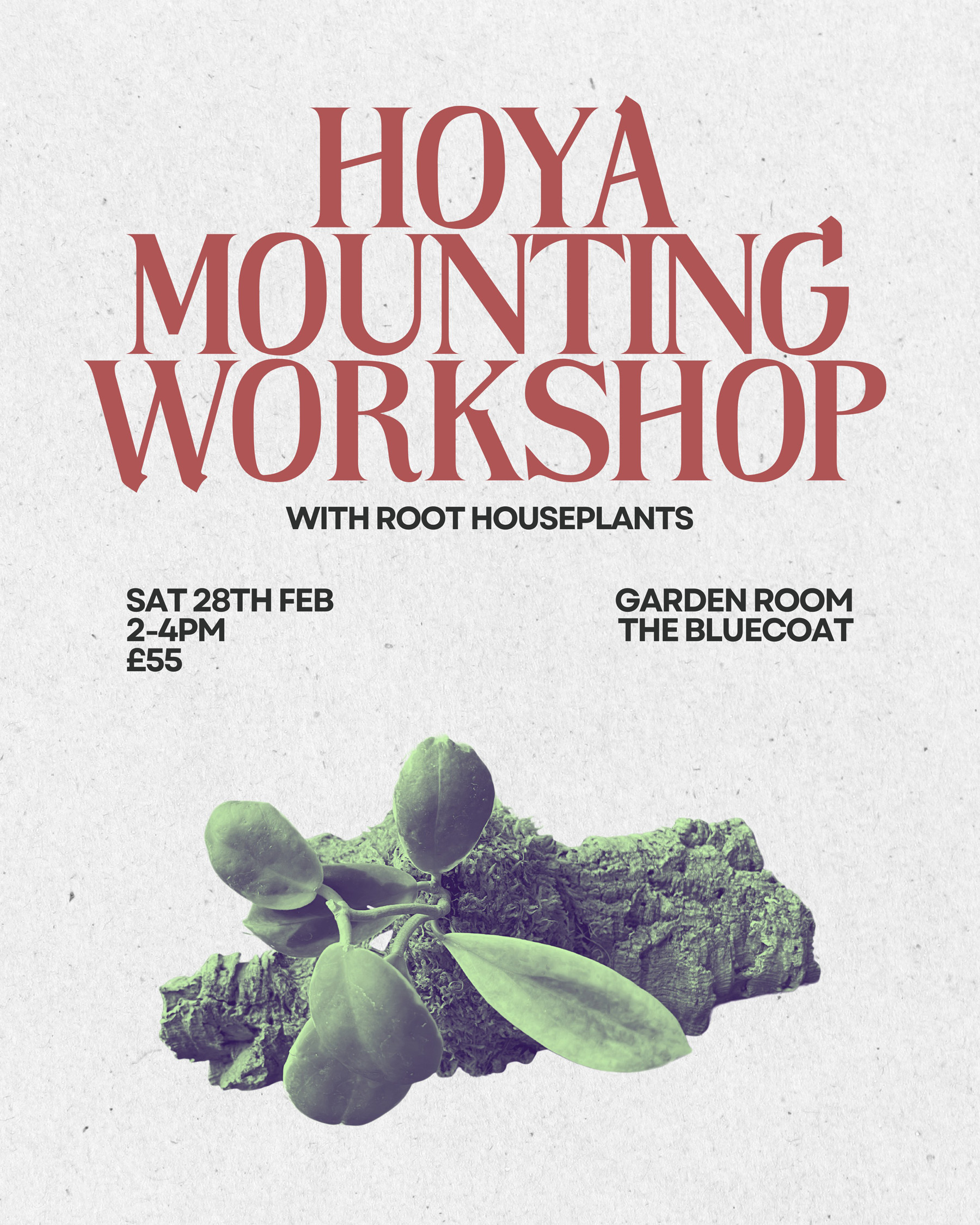 ROOT Houseplants: Hoya Mounting Workshop