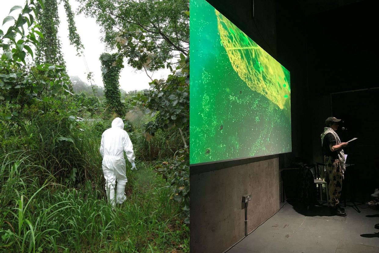 After an Art PhD: Posthuman Excess