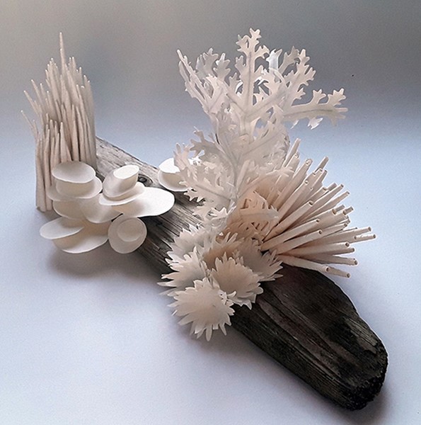 Julie Dodd: Paper Coral Workshop (Family Friendly)