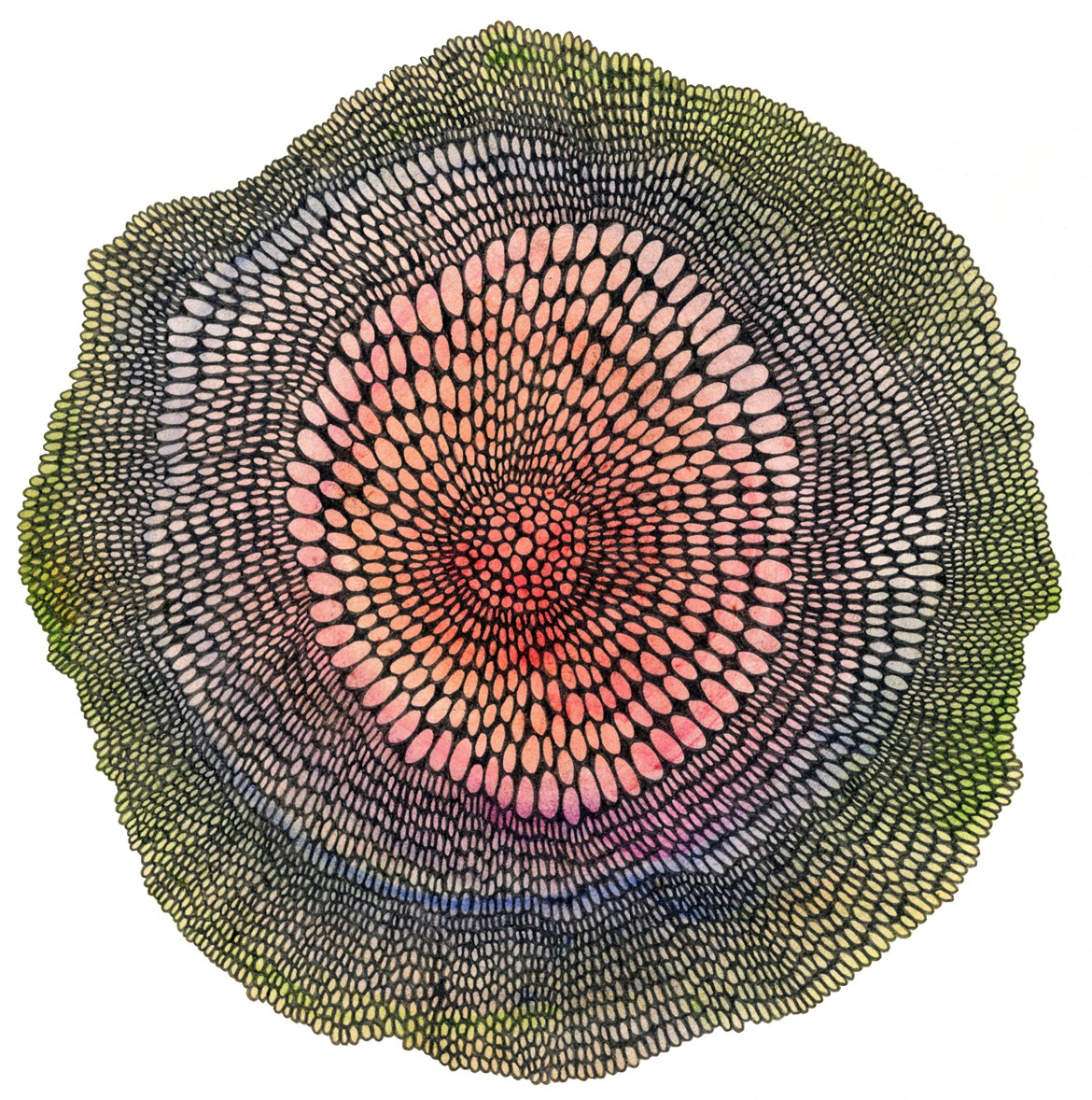 Julie Dodd: Watercolour Cell Workshop