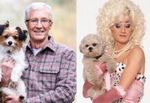 Free tickets go online for landmark Paul O’Grady exhibition this winter