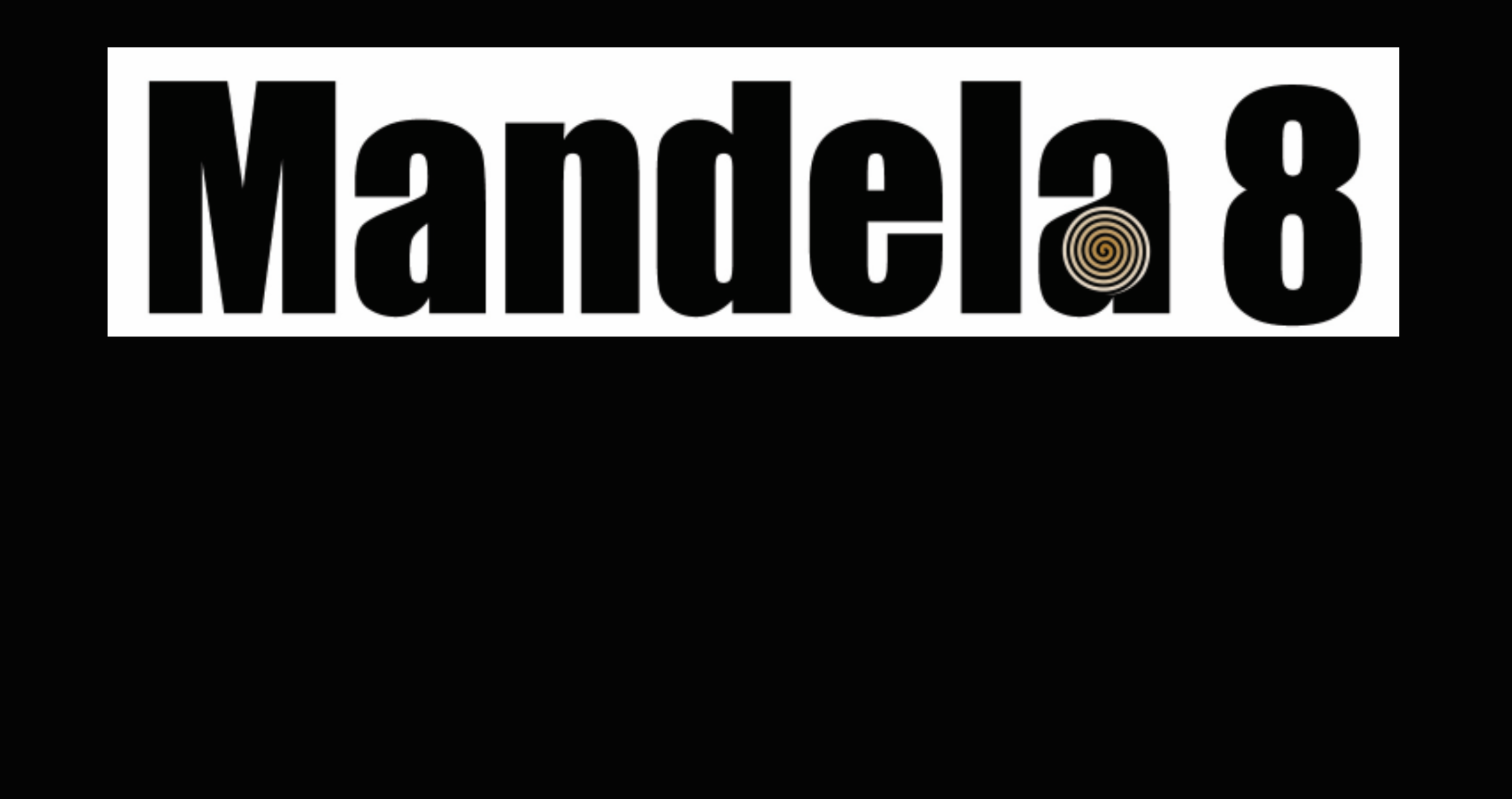 Mandela8: Journey to South Africa